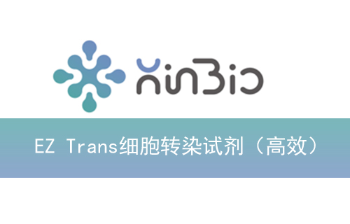 EZ Trans细胞转染试剂（高效）